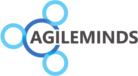 AgileMinds GmbH EN